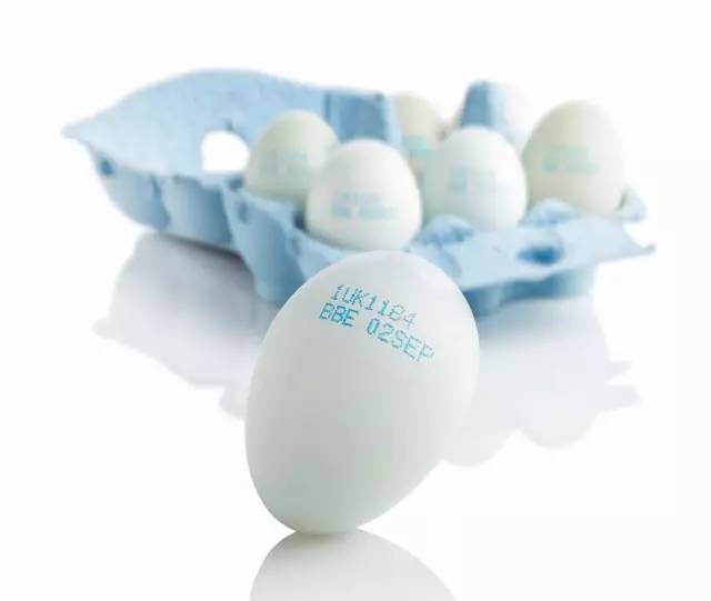 伟迪捷鸡蛋喷码机：立夏要吃蛋，你却不懂它
