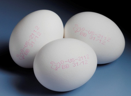 鸡蛋喷码机教您保鲜鸡蛋的5个方法
