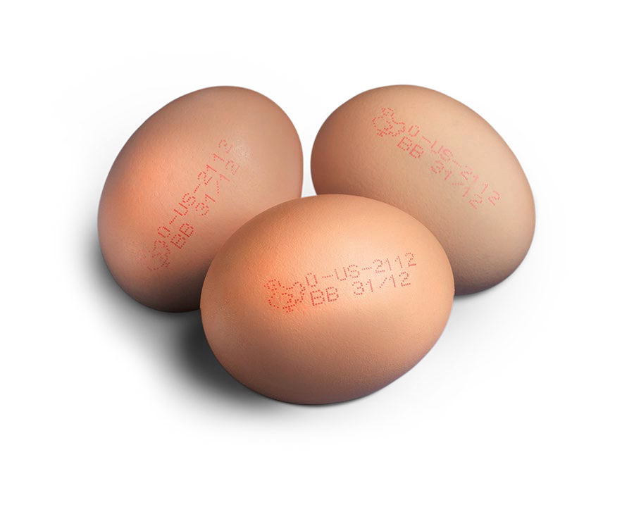 如何选择最佳的墨水在蛋壳上喷印
